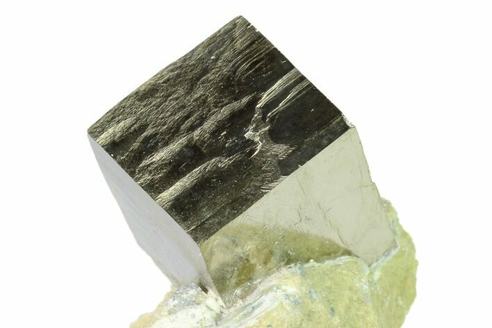 Natural Pyrite Cube In Rock - Navajun, Spain #168487